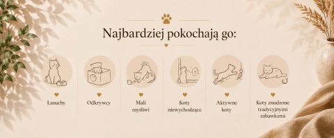 KociBox zabawka logiczna dla kota z ulubionymi akcesoriami