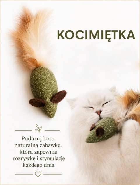 Mysz z Kocimiętką