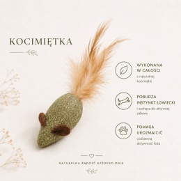 Mysz z Kocimiętką